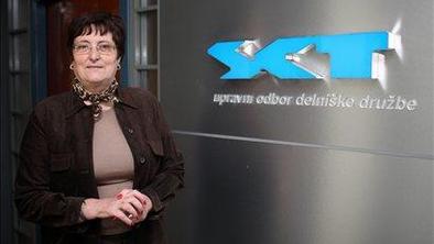 Šantlova od Zidarja ni dobila želenih podatkov o Tovarni asfalta Črnuče
