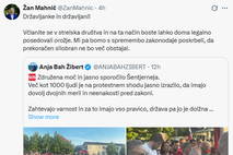 Žan Mahnič