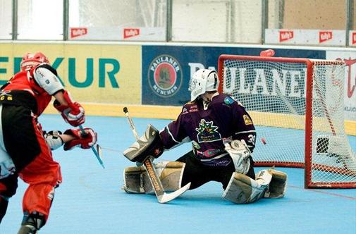 Kranj: inline hokej