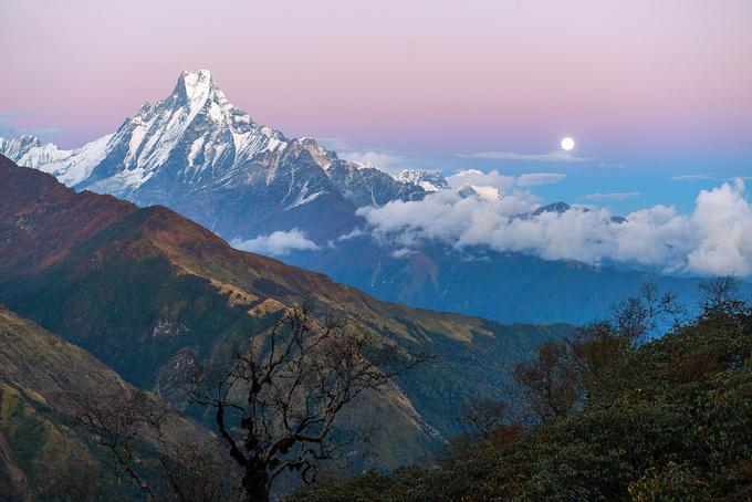 Imel je možnost občudovati razgled na sveto goro Mačapučara v Nepalu. | Foto: Tadej Bolta