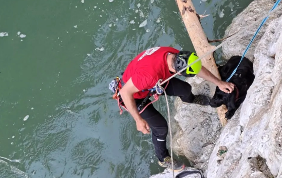 GRS Tržič | Z vrvno tehniko se je do ujetega psa spustil gorski reševalec in ga spravil na varno. | Foto Gorska reševalna služba Tržič/Facebook