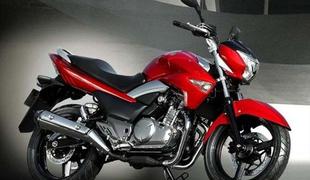 Suzuki inazuma 250: poceni japonska strela