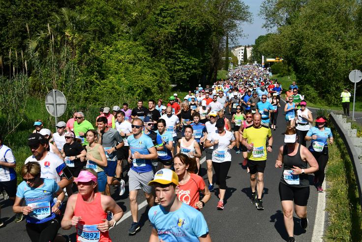 Tekači Istrskega maratona se bodo lahko preizkusili na 42-, 21-, 10- in 9-kilometrski trasi. | Foto: Rok Sorta/Istrski maraton