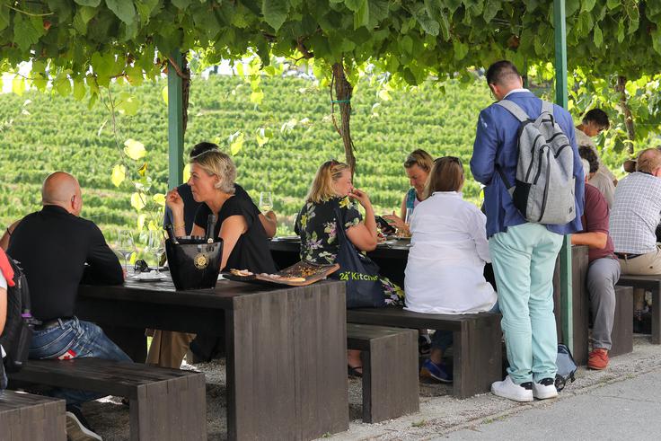 Spoznajte Vinorodno Štajersko | Foto: Vinorodna Štajerska