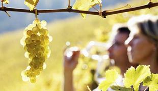 Vino in hrana združujeta slovensko in italijansko Gorico