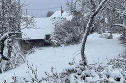 Zasnežilo je Belo Krajino, 20 centimetrov novega snega #video