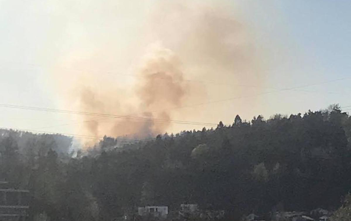 gašenje Šentviški hrib požar | Foto Gasilska brigada Ljubljana