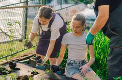 S katerimi vrtninami je pametno počakati do sredine maja?