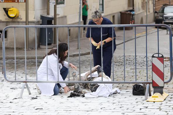 Moški se je pred saborom polil z bencinom in zažgal, tam tudi Plenković