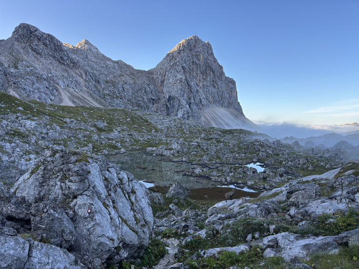 Žiga Papež, Sladka slovenska transverzala | Foto: Žiga Papež