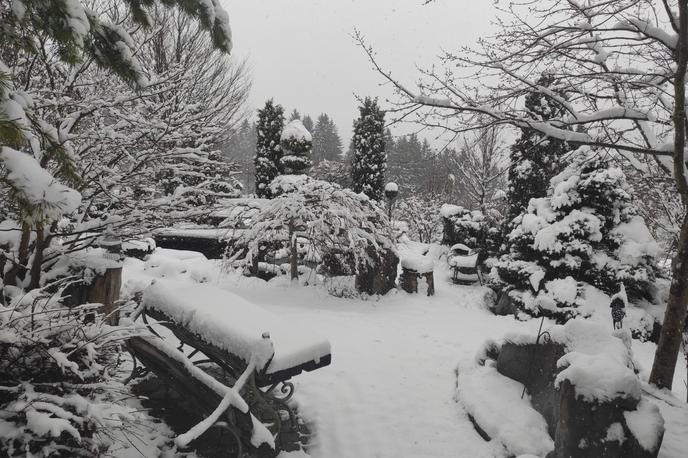 Sneg | V Loškem Potoku je zapadlo od deset do 15 centimetrov snega.  | Foto Metoinfo/Lidija Knavs/FB