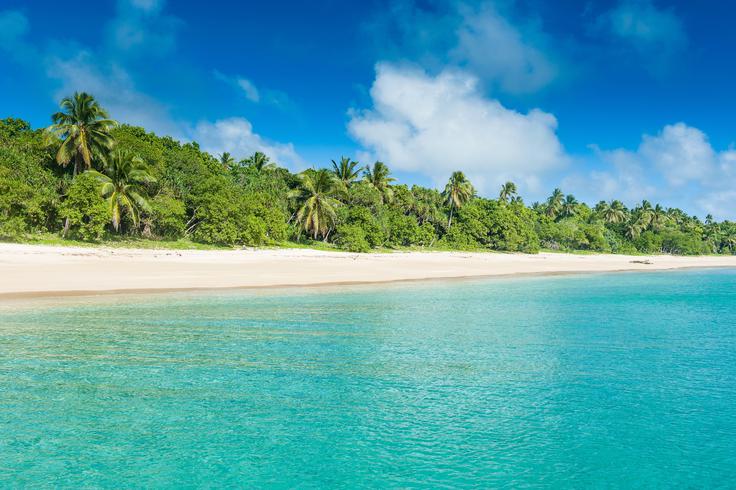 Rajska plaža na otoku Haapai. Ta leži v skupini otokov, poimenovanih Haapaijsko otočje, ki se nahaja v osrčju arhipelaga Tonga.  | Foto: Shutterstock
