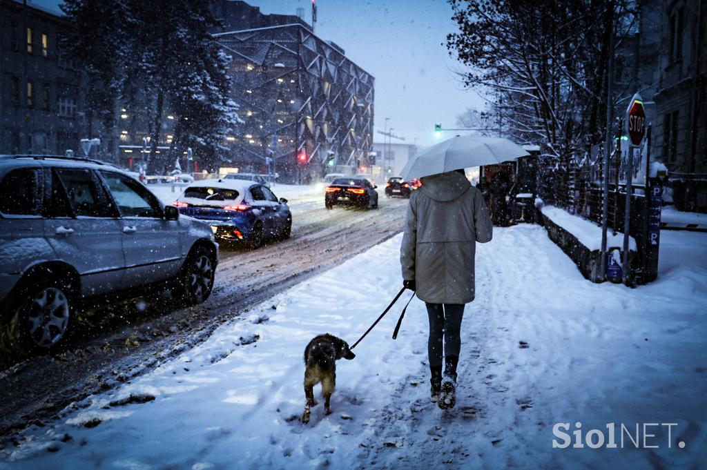 Sneg v Ljubljani