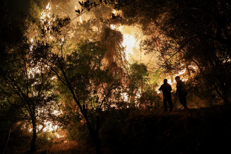 Po besedah regionalnega guvernerja je zgorelo 6.200 hektarjev, kar je približno sedem odstotkov celotne površine otoka. | Foto: Reuters