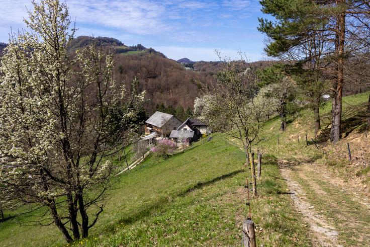 Sestop iz vasi Bukovje proti glavni cesti Šentjur - Kozje. | Foto: Matej Podgoršek