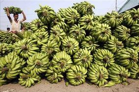 Spodnje perilo iz banan