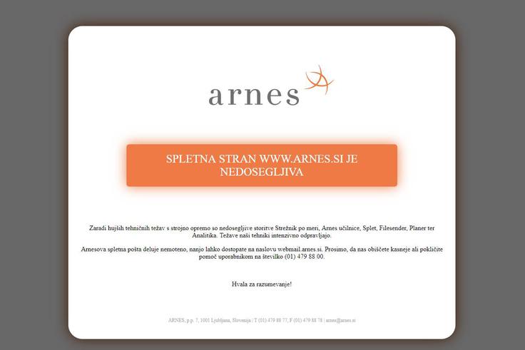 Arnes | Foto: Matic Tomšič