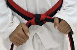 Slovenski taekwondoisti na evropskem prvenstvu do kupa odličij