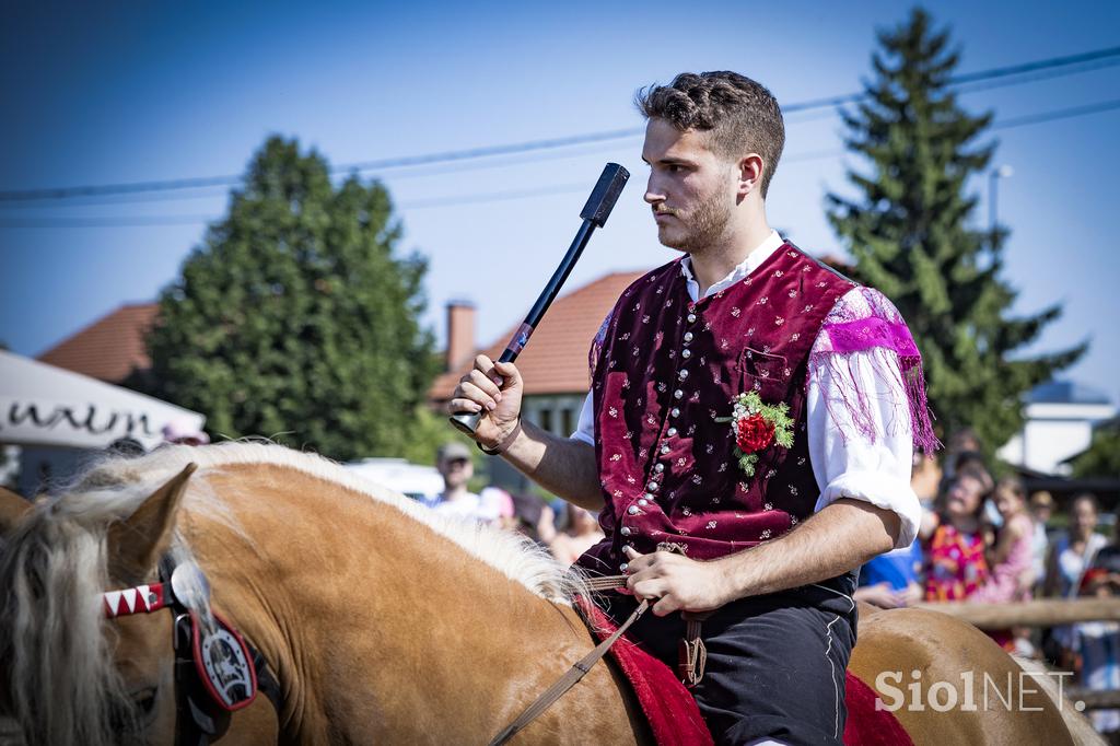 Posavsko štehvanje