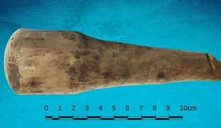 Je leseni predmet, najden v rimski utrdbi, v resnici spolna igračka?