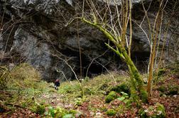 V Uršnji luknji odkrili kosti jamskih živali in sledi neandertalca