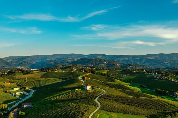 Zlati grič | Foto Zlati grič