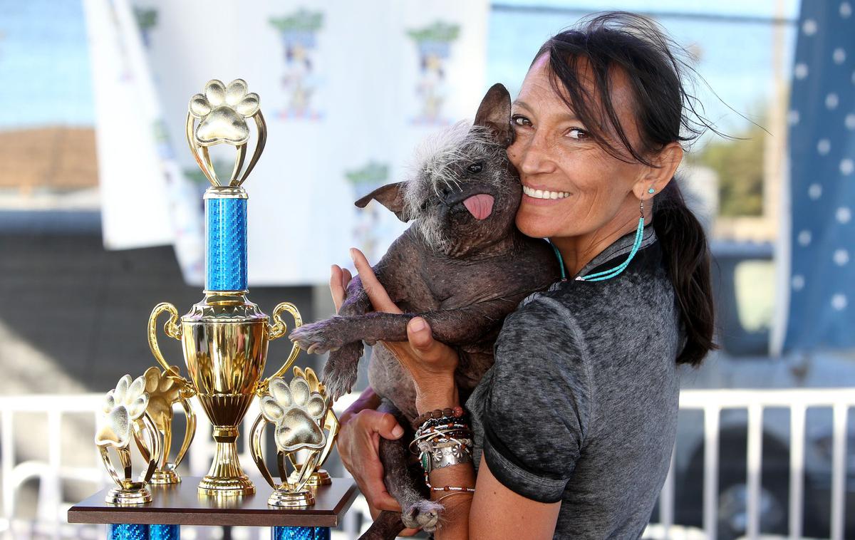 Najgrši pes na svetu | Lastnica in pes sta prejela 1.500 dolarjev denarne nagrade in potovanje v New York. | Foto Profimedia