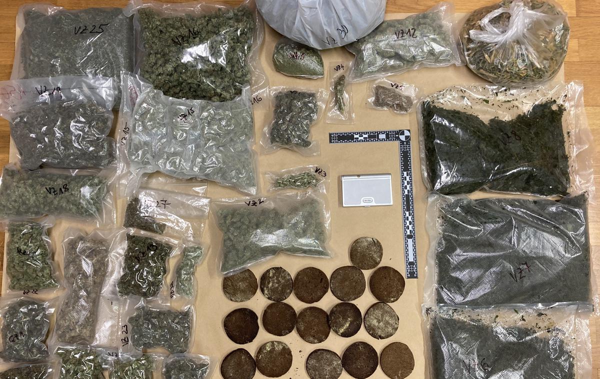 Zaseg konoplje | Novomeški policisti so v hišni preiskavi zasegli šest kilogramov prepovedane droge konoplje. | Foto PP Novo mesto