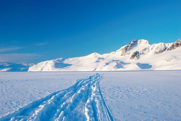Severni tečaj | Foto: Thinkstock