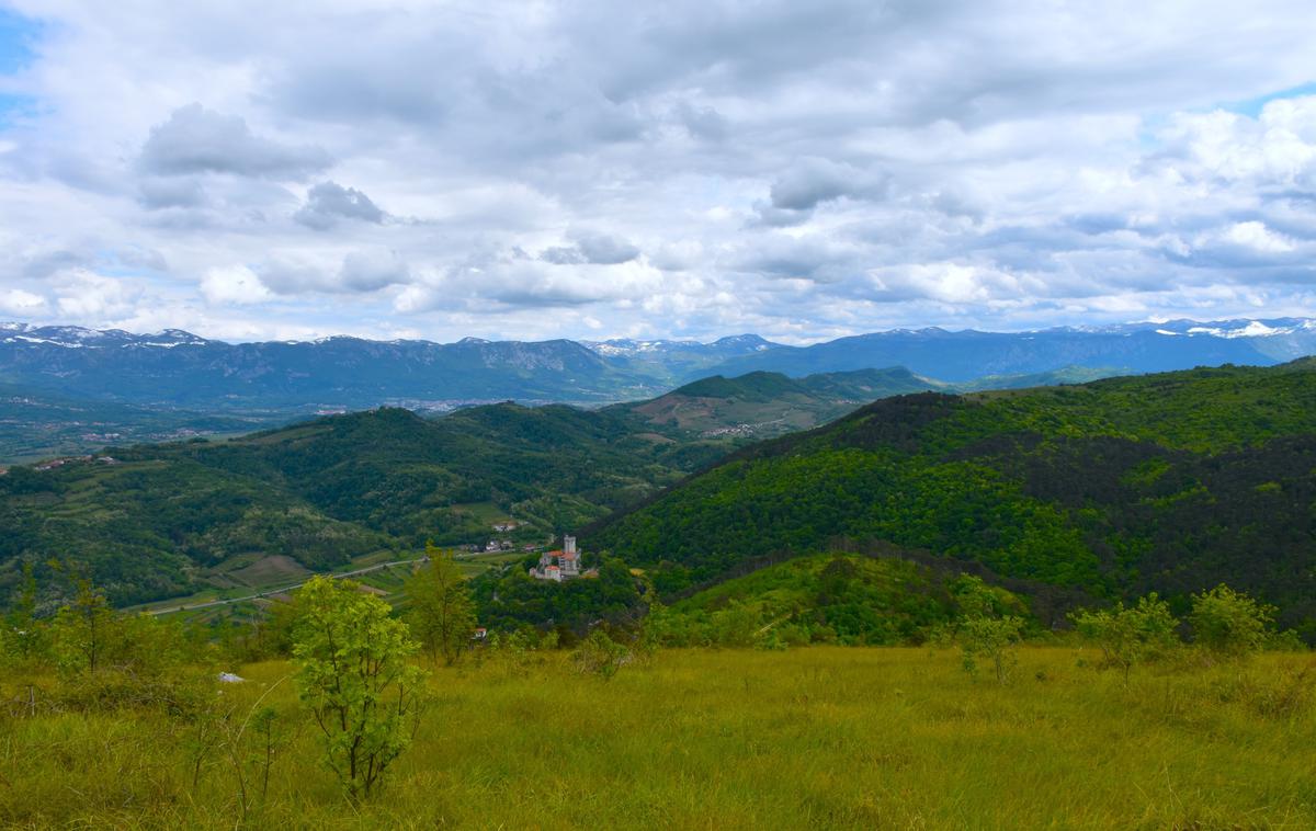 Trnovski gozd | Na Arsu so opozorili, da je merilno mesto glede meritev ozona locirano tako, da podatki veljajo za širško okolico. | Foto Shutterstock