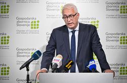 Delodajalci protestno prekinjajo svoje aktivnosti v okviru ESS