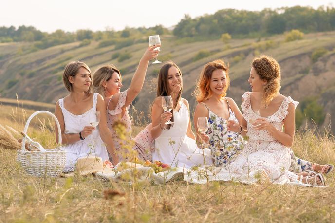 moda, piknik, obleke | Foto Shutterstock