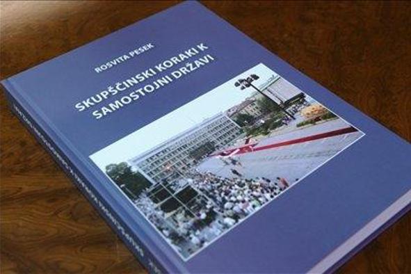 Bučar: Soočamo se z mankom v analizi preteklosti 