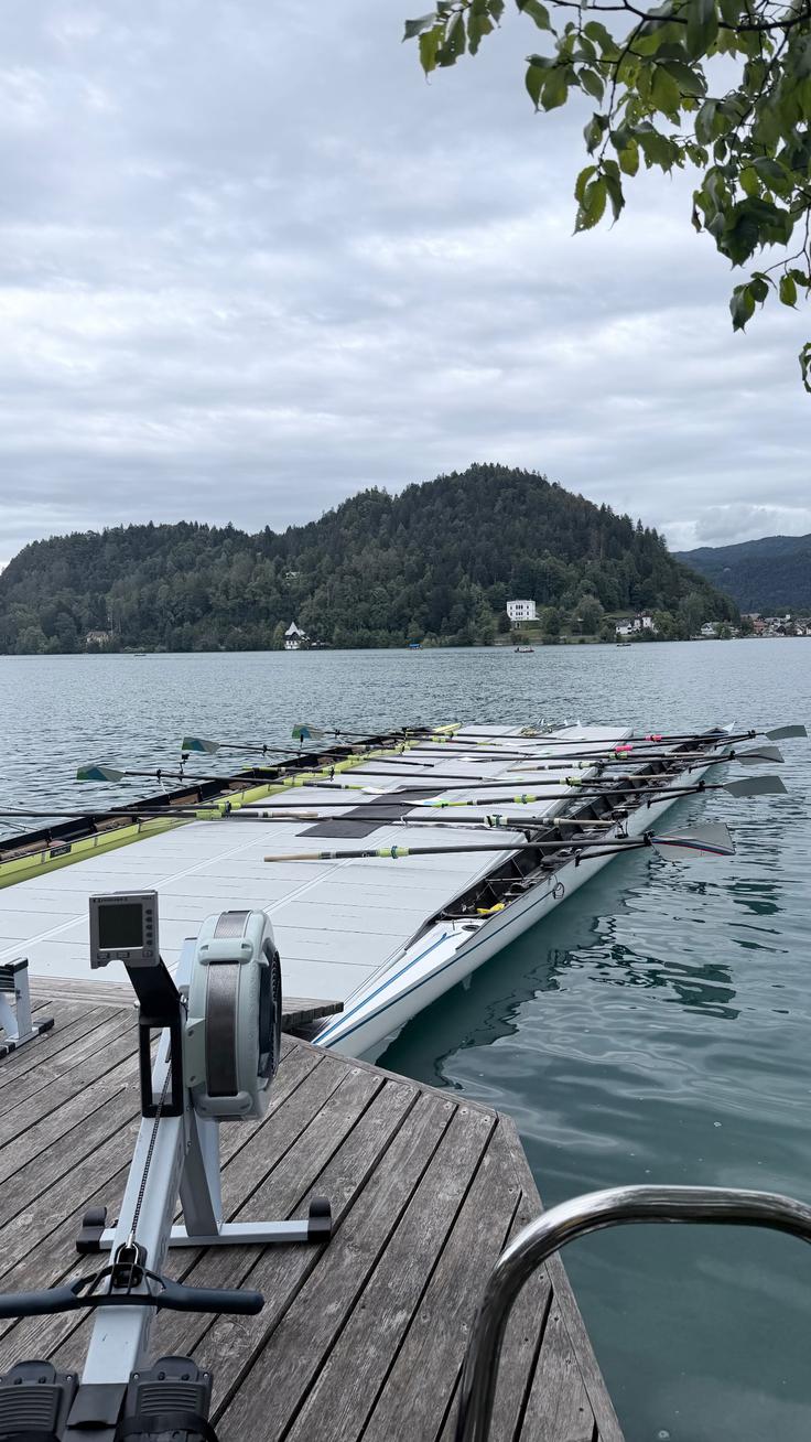 Lakers, Bled | Foto: Instagram/collinyoungbull