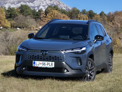 Na cesti ne izstopa, jo imajo ravno zato radi? Prostora veliko, poraba pod petimi litri.