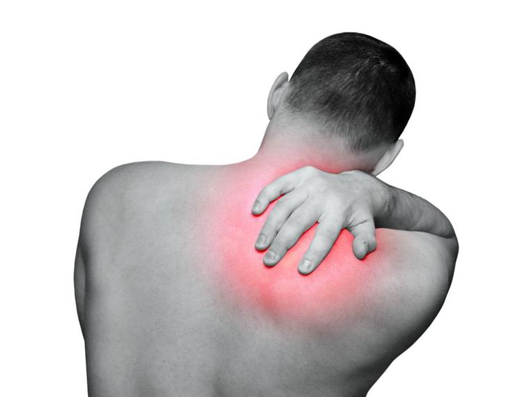 medicofit | Foto: Shutterstock/Medicofit