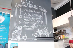 Za mačkoljubce: V New Yorku so odprli mačjo kavarno (video)