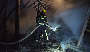 Požar zajel poslopje: poginilo 220 golobov