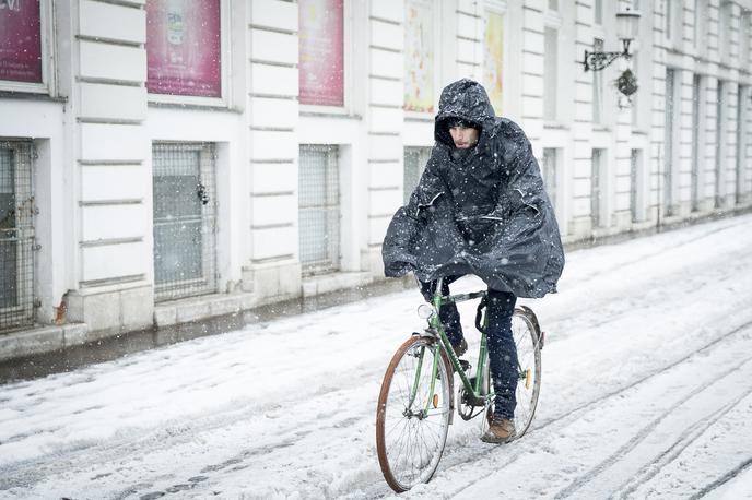 sneg | V torek zjutraj se bo meja sneženja ponekod spustila do nižin. | Foto Ana Kovač