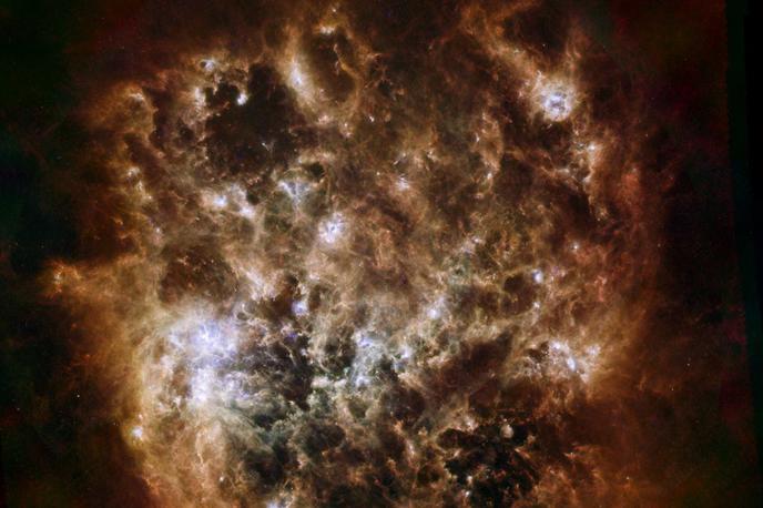 Galaksija | Izračun so naredili na podlagi zgodovine razvoja zvezd, njihove starosti, prisotnosti kovin v njih in na podlagi verjetnosti, da bodo zvezde "gostile" planete, podobne Zemlji. | Foto Reuters