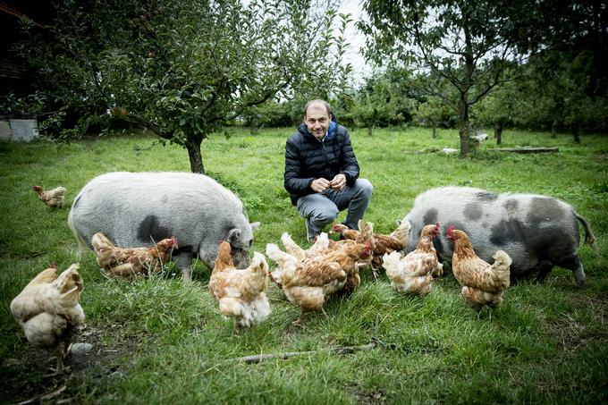 Nad živalmi na kmetiji so najbolj navdušeni otroci. | Foto: Ana Kovač