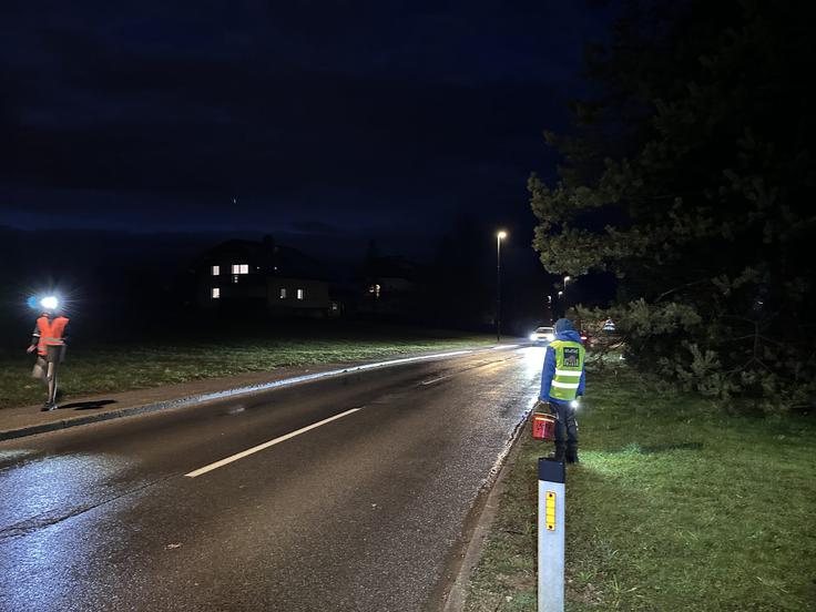 Na večini akcij se število prenesenih dvoživk beleži. To pomeni, da štejete dvoživke, ki ste jih nesli čez cesto in številko sporočite organizatorjem – na mestu akcije ali na njihov elektronski naslov. Za nekatere lokacije (tudi za Hraše pri Smledniku) je možen vnos števila rešenih dvoživk s pomočjo aplikacije Epicollect5, ki si jo naložite na svoj telefon.  | Foto: pomagajamo-zabicam.si