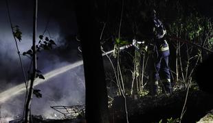 Rusija: obsežni gozdni požari zahtevali več življenj
