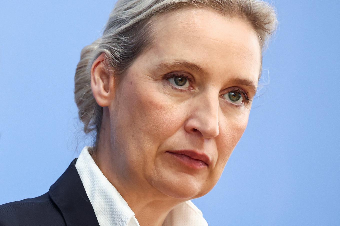 AfD-jeva notranja korespondenca v središču domnevnega hekerskega napada
