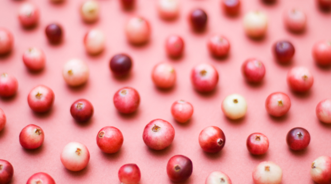 V majhni brusnični jagodi se nahajajo snovi, ki pomagajo pri vnetju sečil. | Foto: Yasenka