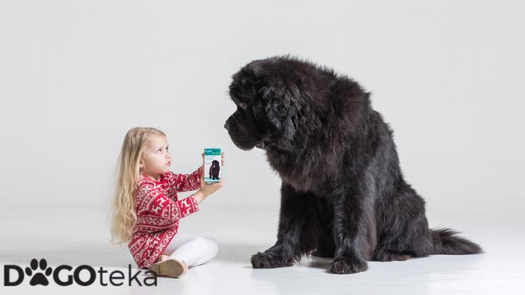 Dogoteka, novo 7 | Foto: 
