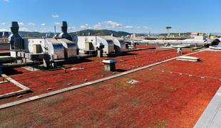 Citypark z vegetacijsko zasaditvijo strehe za boljšo mikroklimo