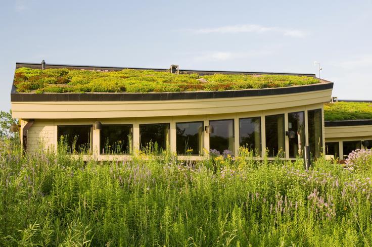 zelena streha | Foto: Thinkstock
