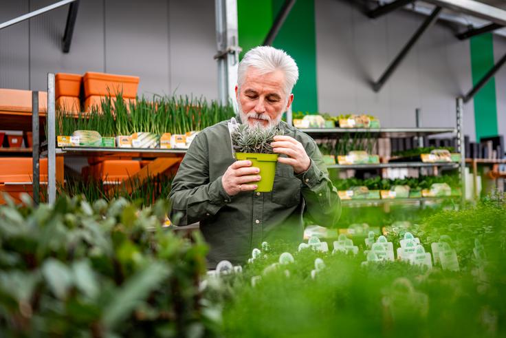 Eurogarden | Foto: Eurogarden, Rotar, Ramda, Sunseeker Elite