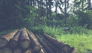 Med opravilom z lesom umrl 52-letnik